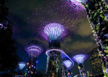 Galería de imágenes en miniatura